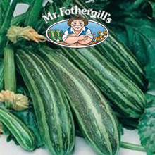 Vegetable Explorer Cocozelle v. Tripolis Courgette Seeds