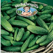 Vegetable Explorer (Gherkin) Cornichon de Paris Cucumber Seeds