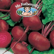 Vegetable Explorer Crosbys Egyptian Beetroot Seeds