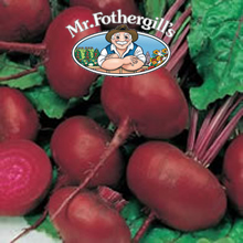 Vegetable Explorer Crosbys Egyptian Beetroot Seeds