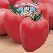 Vegetable Explorer Cuor di Bue Tomato Seeds