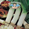 Vegetable Explorer Elefant Leek Seeds