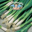 Vegetable Explorer Evergreen Bunching (Spring) Onion Seeds