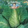 Vegetable Explorer Filderkraut Cabbage Vegetable Seeds