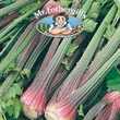 Vegetable Explorer Giant Red Celery Seeds