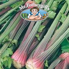 Vegetable Explorer Giant Red Celery Seeds