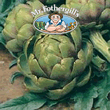 Vegetable Explorer Green Globe Artichoke Seeds