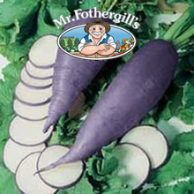 Vegetable Explorer Hilds Blauer Herbst und Winter Radish Seeds