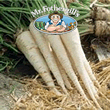Vegetable Explorer Kinga Hamburg Parsley Seeds