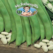 Vegetable Explorer Lingot Cannellino Dwarf Bean Seeds
