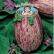 Vegetable Explorer Listada de Gandia Aubergine Seeds