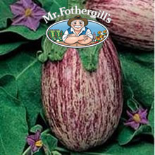 Vegetable Explorer Listada de Gandia Aubergine Seeds