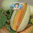 Vegetable Explorer Melba Melon Seeds