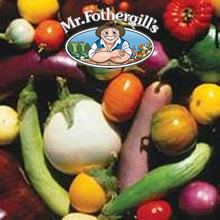 Vegetable Explorer Mixed Aubergine Seeds