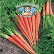 Vegetable Explorer Nutri-Red F1 Carrot Seeds