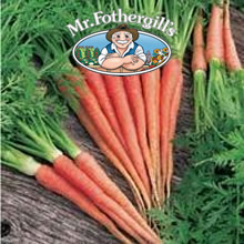 Vegetable Explorer Nutri-Red F1 Carrot Seeds