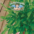 Vegetable Explorer Olivetta Rocket Seeds