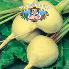 Vegetable Explorer Petrowski Turnip Seeds
