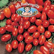 Vegetable Explorer Principe Borghese Tomato Seeds
