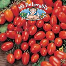 Vegetable Explorer Principe Borghese Tomato Seeds
