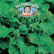 Vegetable Explorer Rabe '60 Days' Broccoli Seeds