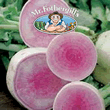 Vegetable Explorer Red Meat Radish Seeds