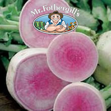 Vegetable Explorer Red Meat Radish Seeds