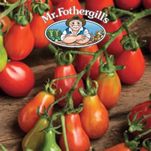 Vegetable Explorer Red Pear Tomato Seeds