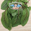 Vegetable Explorer Red Veined Sorrel Seeds