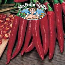Vegetable Explorer Rokita (Hot) Pepper