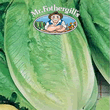 Vegetable Explorer Romaine Ballon Lettuce Seeds