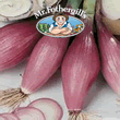 Vegetable Explorer Rossa Lunga di Fierenze Onion Seeds