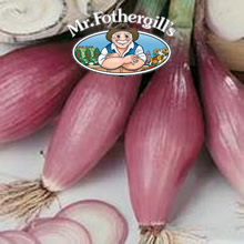 Vegetable Explorer Rossa Lunga di Fierenze Onion Seeds