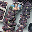 Vegetable Explorer Rubine Brussels Sprout Seeds