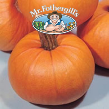 Vegetable Explorer Small Sugar Pumpkin Seeds