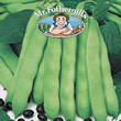 Vegetable Explorer Coco Noir Starazagorski Dwarf Bean Seeds