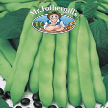 Vegetable Explorer Coco Noir Starazagorski Dwarf Bean Seeds