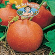 Vegetable Explorer Uchili Kuri (Winter) Squash Seeds