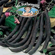 Vegetable Explorer Violet Podded Climbing Bean Seeds