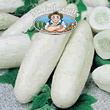 Vegetable Explorer White Wonder Cucumber Seeds
