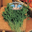 Vegetable Explorer Wrinkled Crinkled Cress Seeds