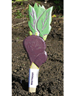 Veggie Stikk - Beetroot