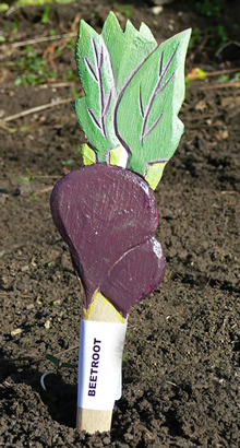 Veggie Stikk - Beetroot