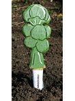 Veggie Stikk - Broccoli