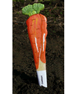 Veggie Stikk - Carrot