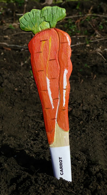 Veggie Stikk - Carrot