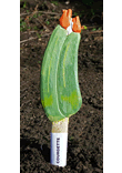 Veggie Stikk - Courgette
