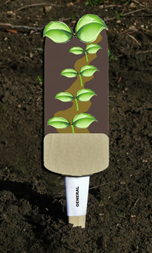 Veggie Stikk - General Seedling
