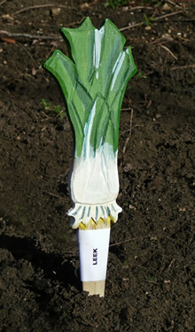 Veggie Stikk - Leek
