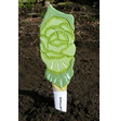 Veggie Stikk - Lettuce